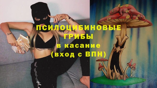 jwh Аркадак